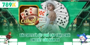 Bài Catte Là Gì