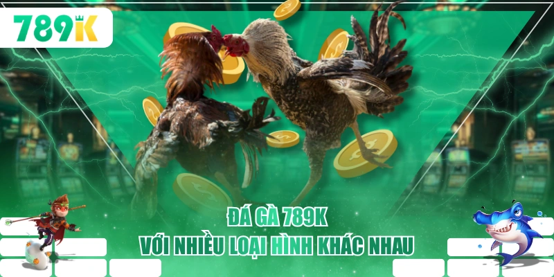 Đá gà 789K với nhiều loại hình khác nhau
