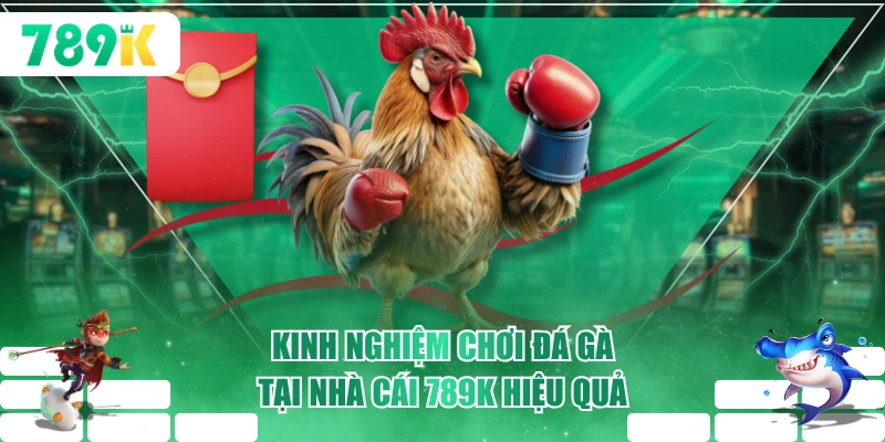Kinh nghiệm chơi đá gà tại nhà cái 789K hiệu quả