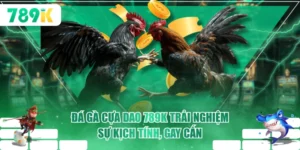 Đá Gà Cựa Dao