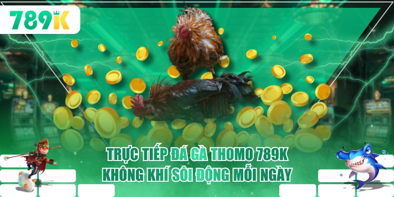 Trực tiếp đá gà Thomo luôn được ưa chuộng