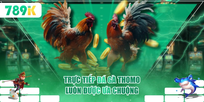 Trực Tiếp Đá Gà Thomo